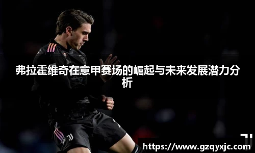 弗拉霍维奇在意甲赛场的崛起与未来发展潜力分析